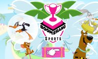 Boomerang Sommersport