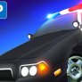 Carros de polícia americanos estacionados em carro real em 2021