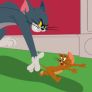 Tom court après Jerry