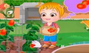 Hazel bebé plantar tomates