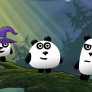 Cei 3 panda fantastici