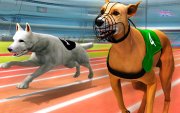 Courses de chiens Simulateur 3d