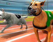 Corrida De Cães Simulador 3D