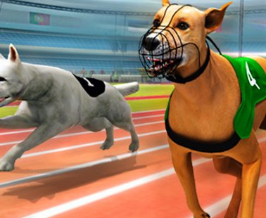 Corrida De Cães Simulador 3D