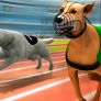 Courses de chiens Simulateur 3d