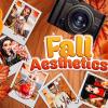 Fall Aesthetics