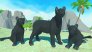 симулятор семьи пантеры 3D: джунгли приключений