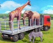 Truck Driving Animal Transport