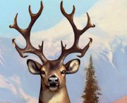  Wild Hunt: Hunting Games 3D