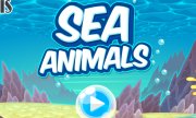 Maç 3 deniz hayvanları