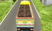 Индийский транспортный грузовик