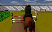 3D лошадиные соревнования
