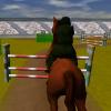 Concours de chevaux 3D