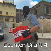 Counter Craft 4