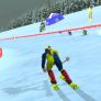 Maître de ski alpin