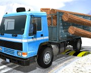 Hintli kargo kamyon sürücü simülatör