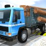 Hintli kargo kamyon sürücü simülatör